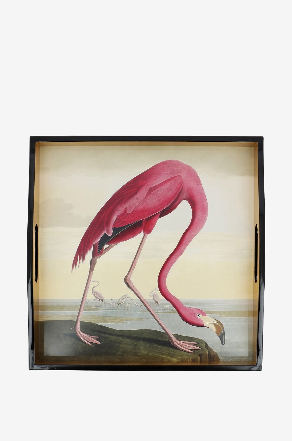 CASPARI Plateau laqué Audubon Birds Flamingo Maison ROSE 2
