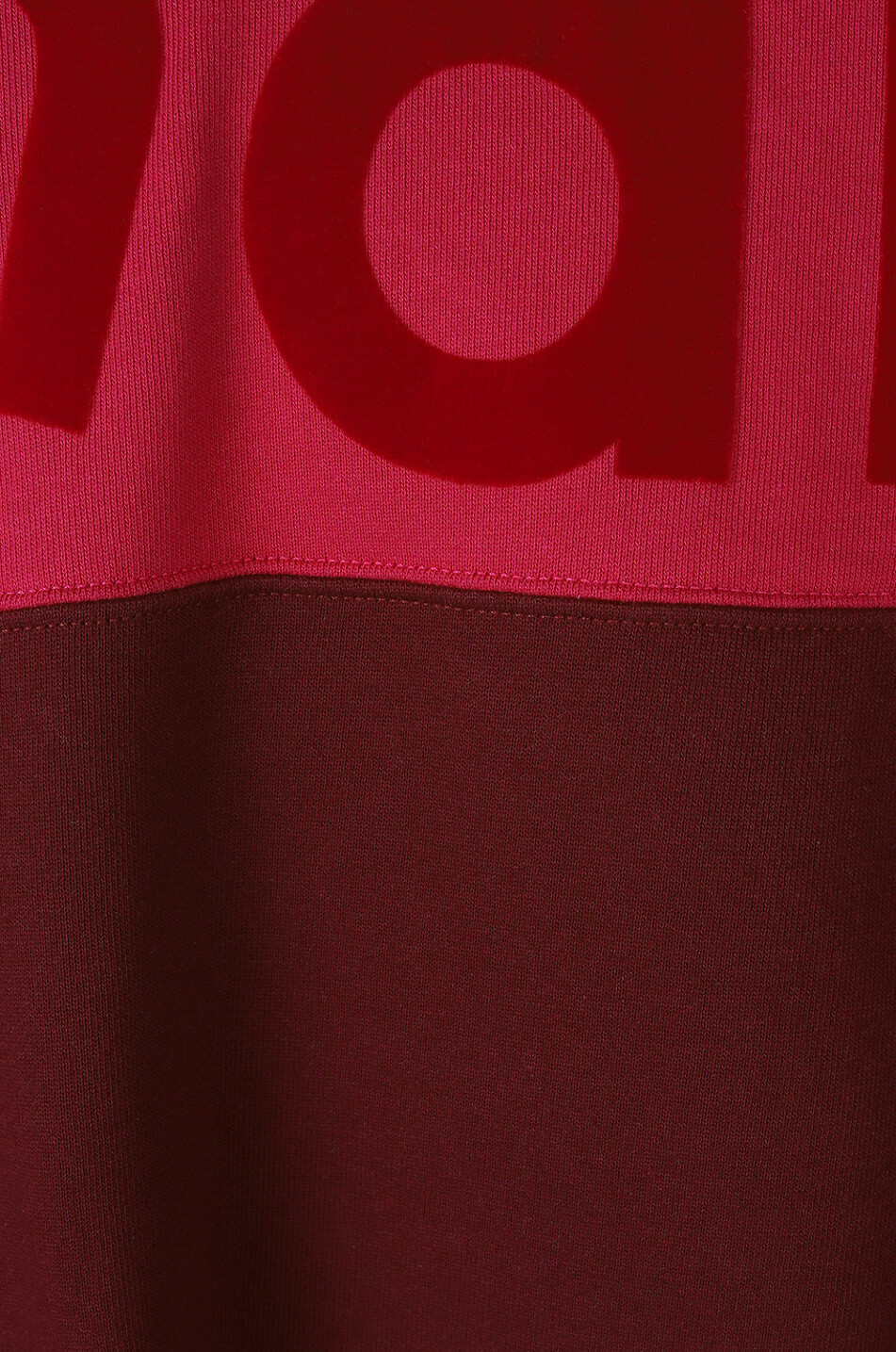 ISABEL MARANT Sweat-shirt à col rond bicolore flocké Howley Homme ROUGE FONCÉ 3