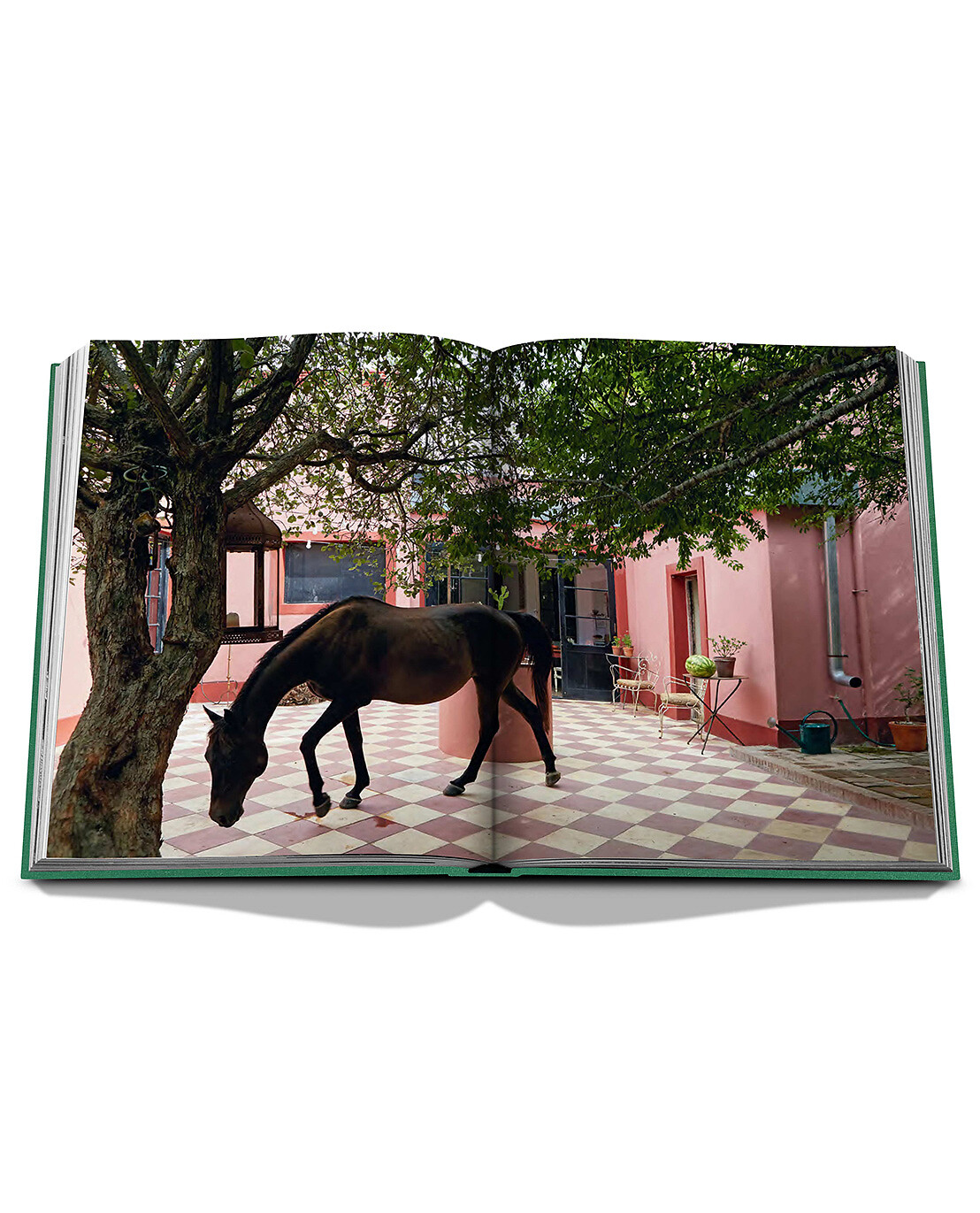 Kunstbuch auf Englisch Punta Del Este
