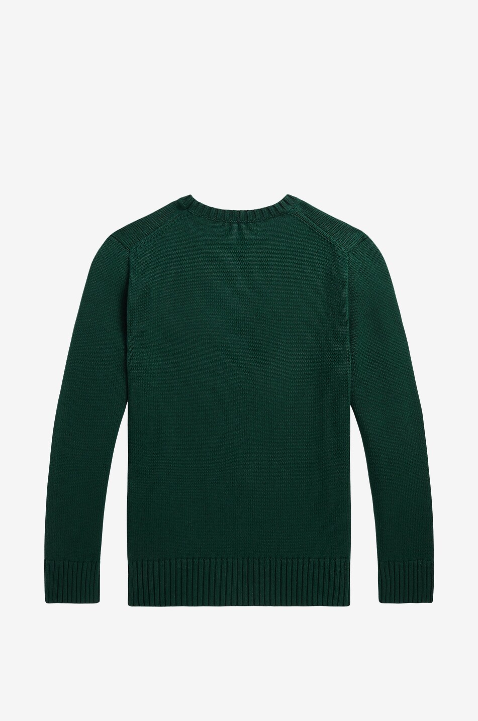 POLO RALPH LAUREN Dog in a Sweater teenager's jacquard jumper Boy DARK GREEN 2