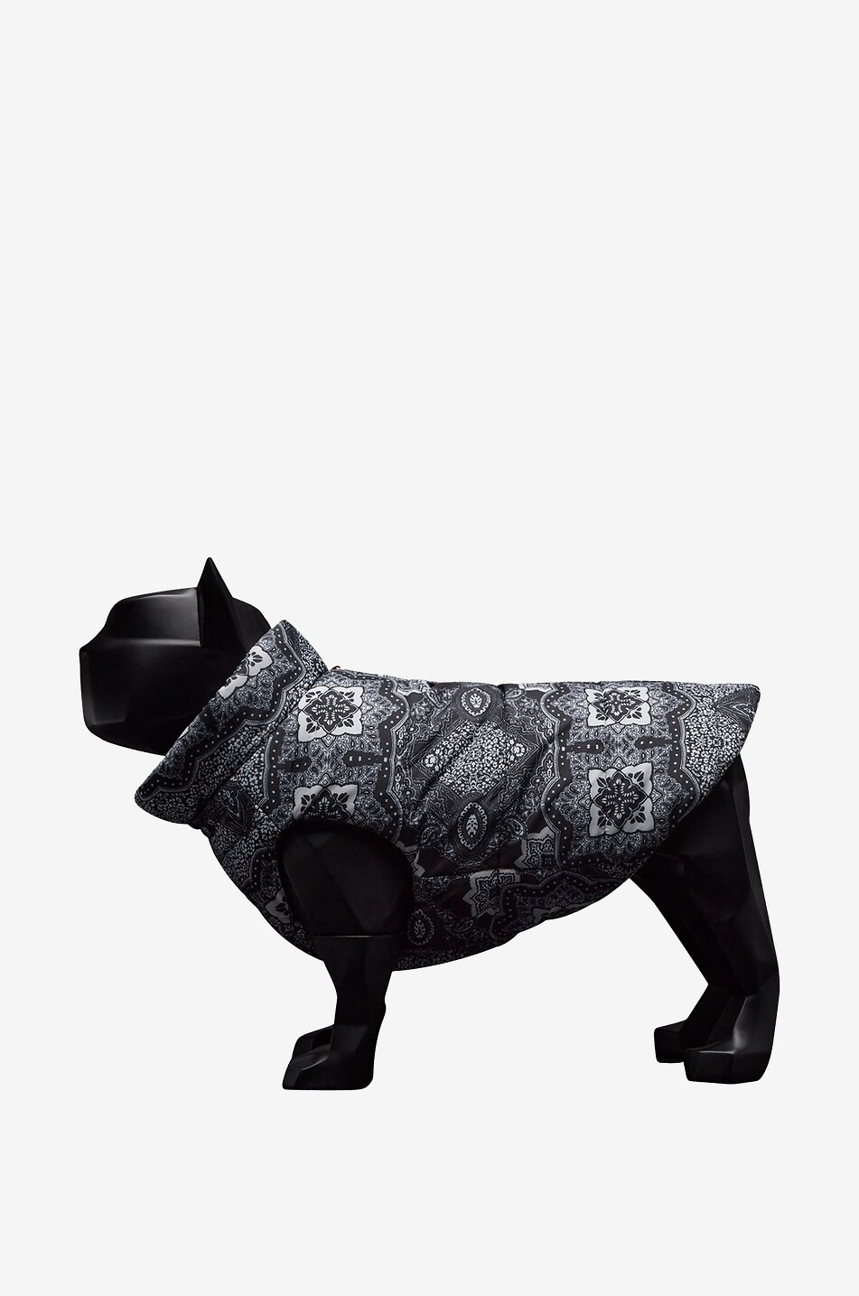 Moncler bulldog online