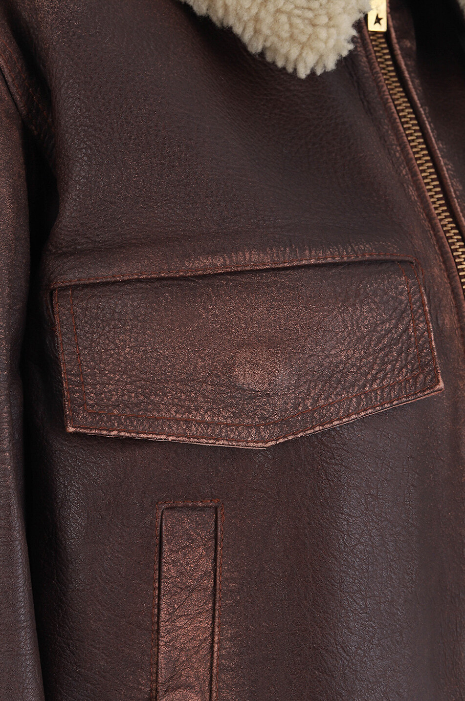 GOLDEN GOOSE Bomberjacke aus Vintage-Leder Aviator Ilaria Damen BRAUN 3