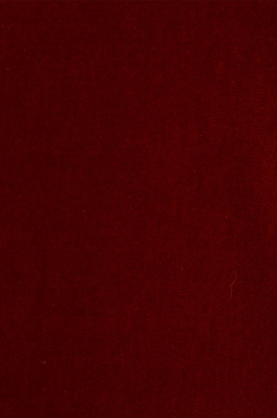 LA DOUBLEJ Samtblazer mit Federn Keaton Damen DUNKELROT 3