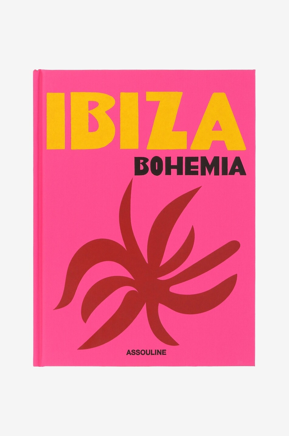 ASSOULINE Beau livre Ibiza Bohemia Maison Incolore 1