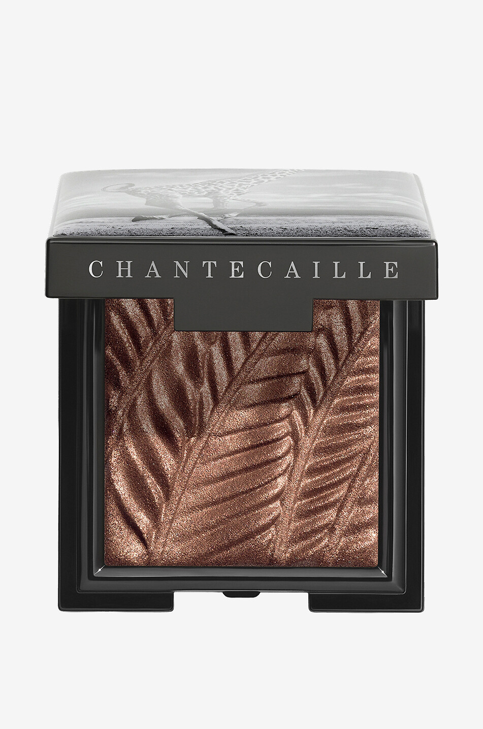 CHANTECAILLE Luminescent Eye Shade - Giraffe Women Colourless 1