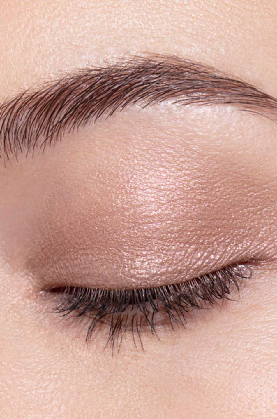 CHANTECAILLE Fard à paupières Luminescent Eye Shade Zebra Femme Incolore 4
