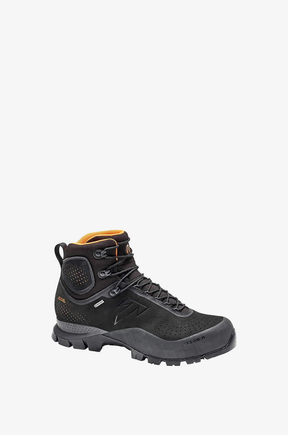 Forge GTX MS hiking shoes