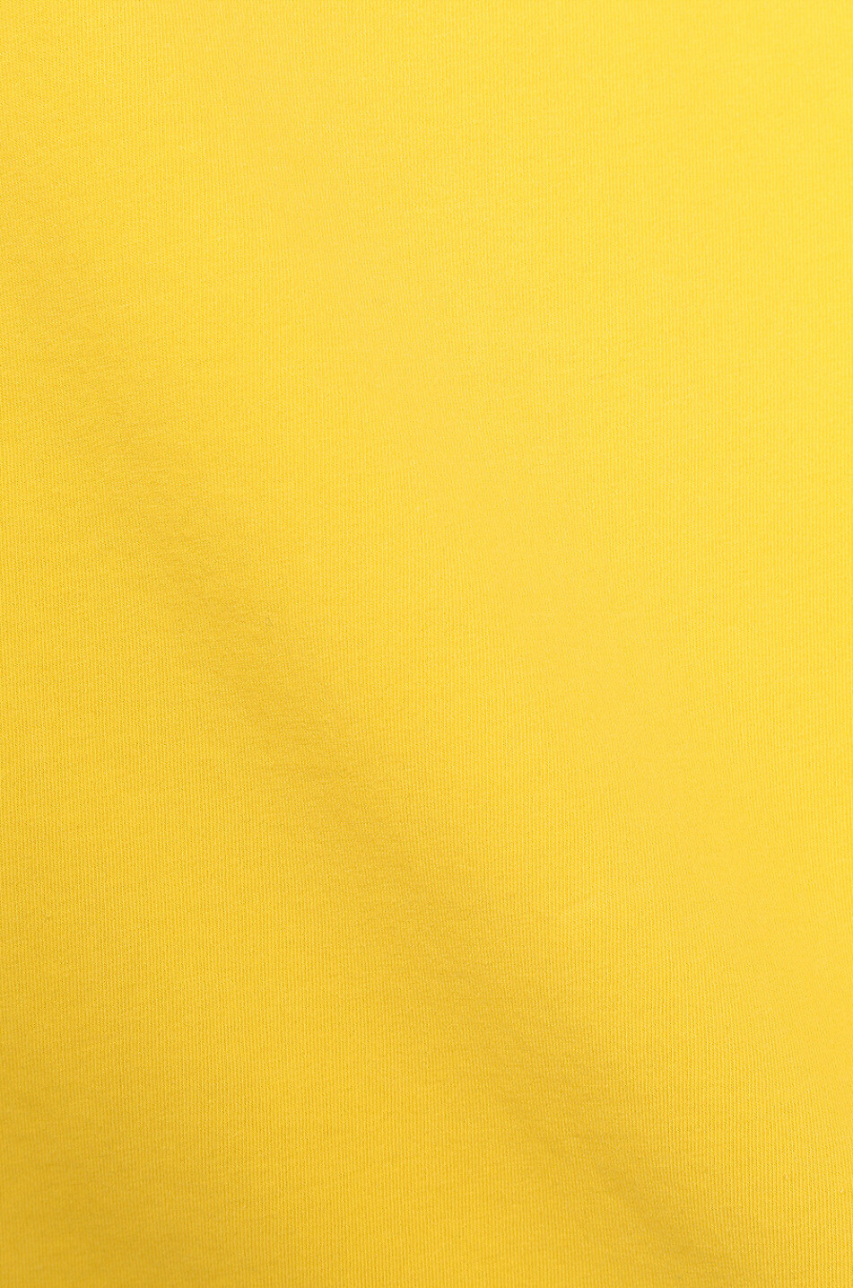 MAJESTIC FILATURES T-shirt à manches courtes et col rond Harold Homme JAUNE MOYEN 3