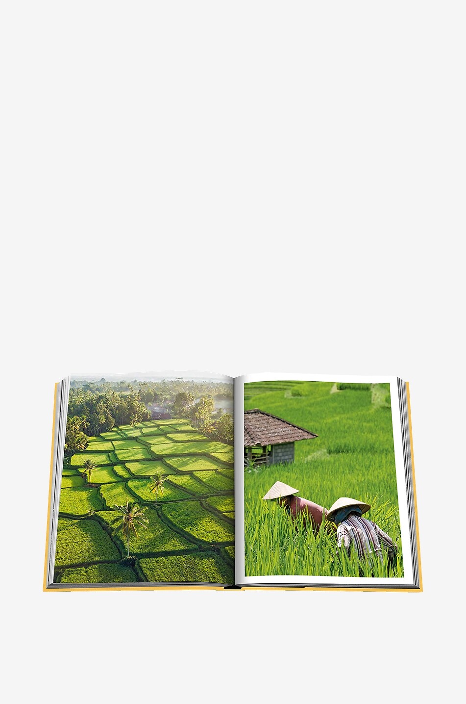 ASSOULINE Beau livre Bali Mystique Maison MULTICOLORE 5