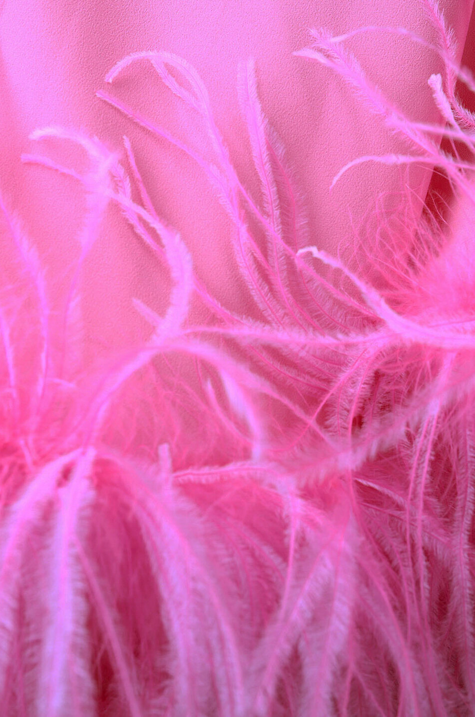 THE ATTICO Minikleid aus Crêpe und Federn Milton Damen ROSA 4