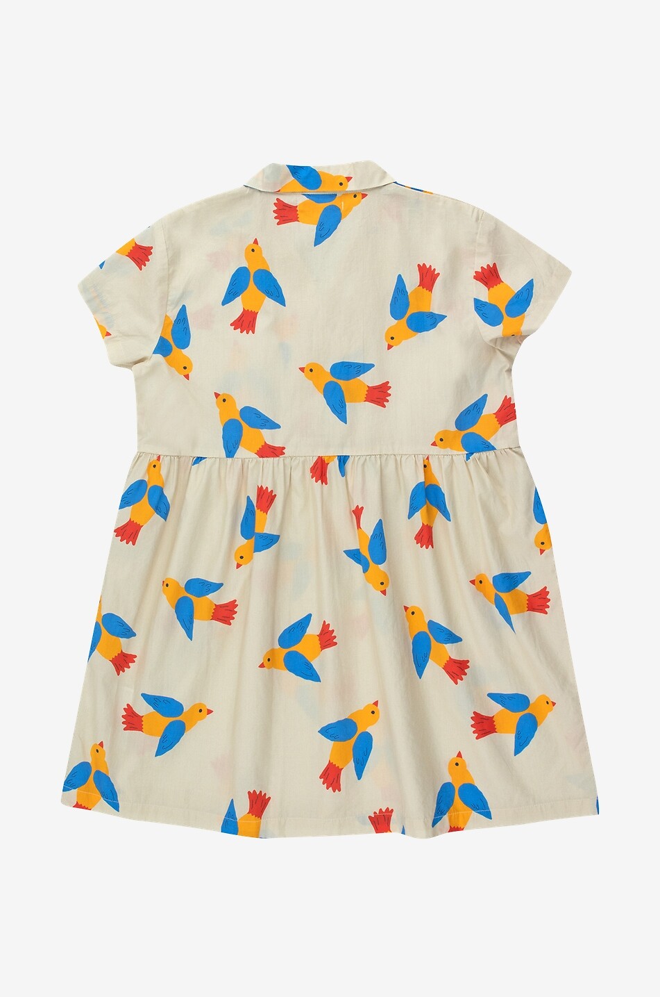 TINYCOTTONS Birds girl's poplin shirt dress Girl EGGSHELL 2
