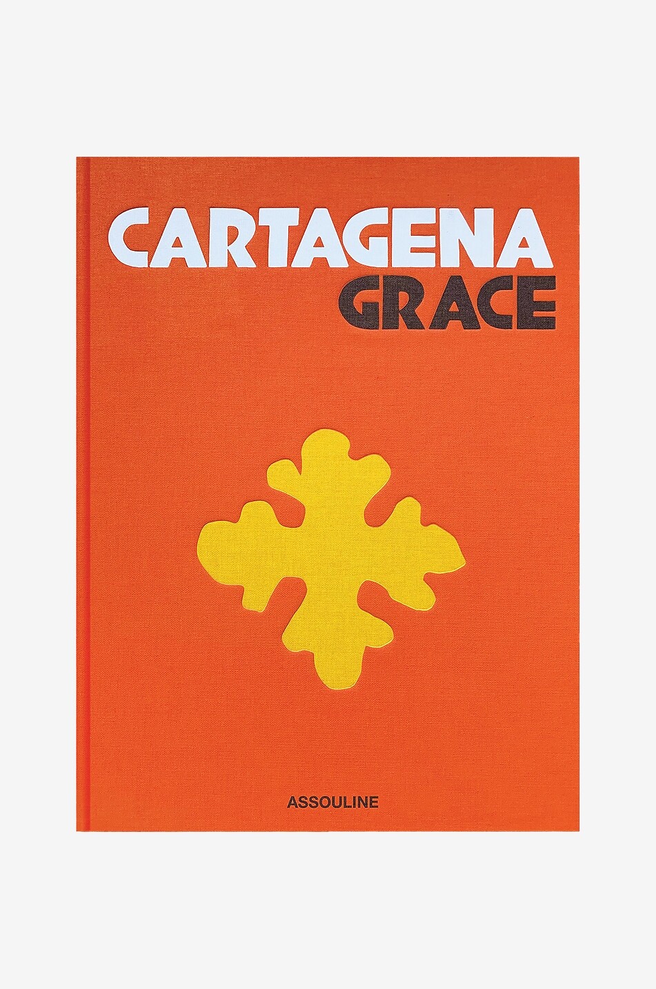 ASSOULINE Cartagena Grace book Home MULTI COLOURED 1