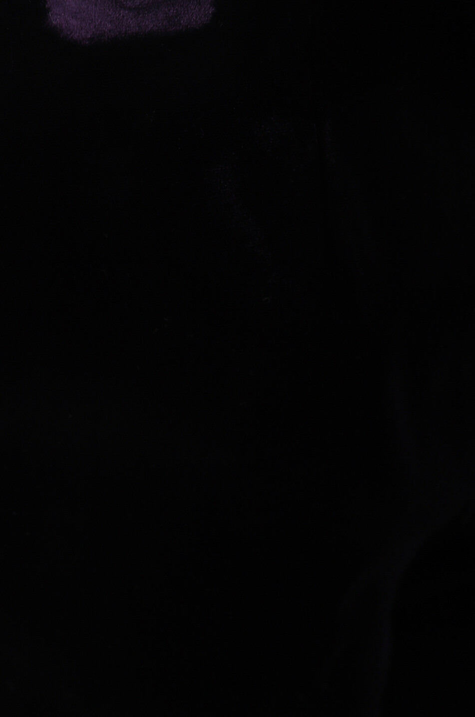 ERMANNO SCERVINO Straight-leg velvet trousers Women PURPLE 3