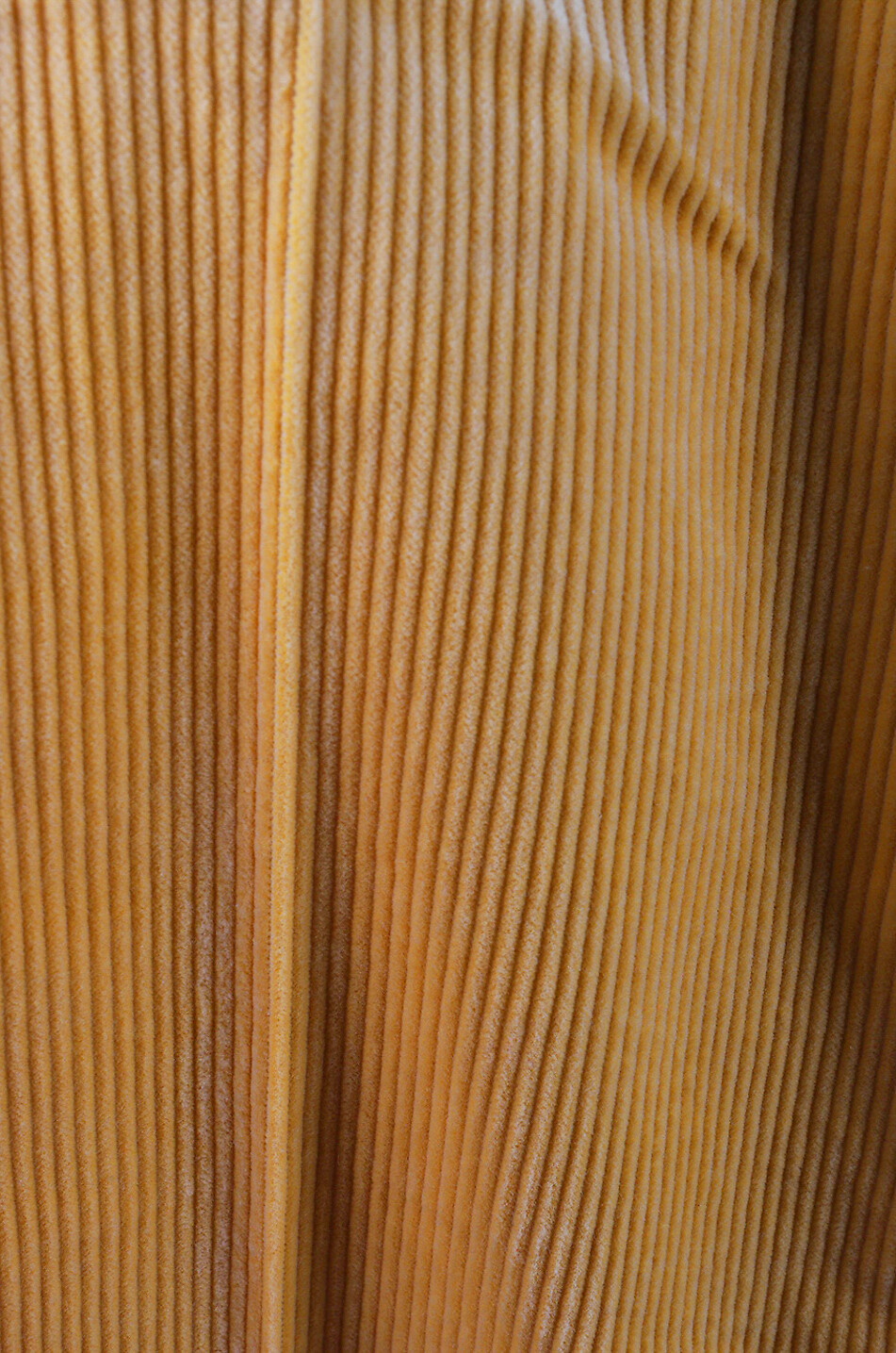 CAMBIO Hose mit weitem Bein aus Cord Fleur Damen MITTELGELB 3