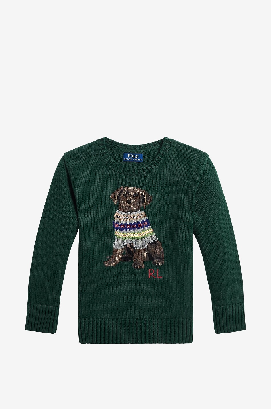 Pull jacquard garçon Dog in a Sweater