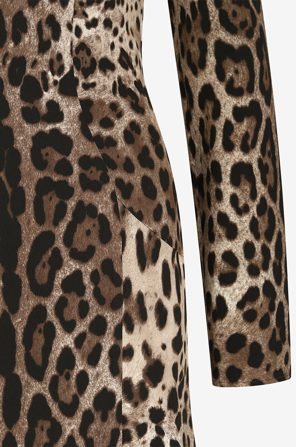 DOLCE & GABBANA Leopard printed cady flared midi dress Women MULTI COLOURED 3