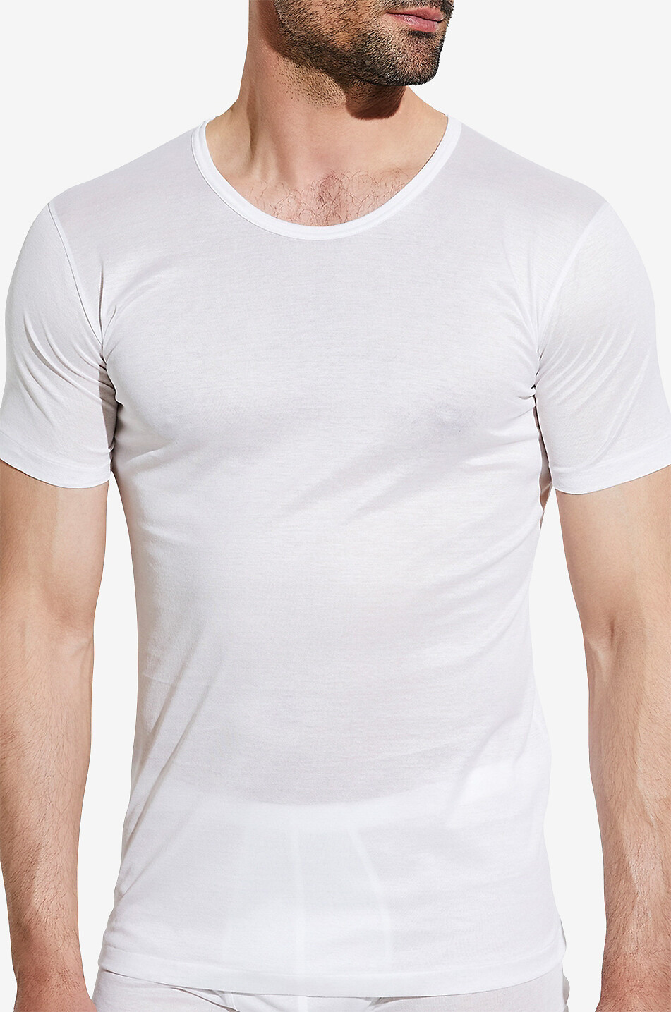 ZIMMERLI 252 Royal Classic cotton T-shirt Men WHITE 2