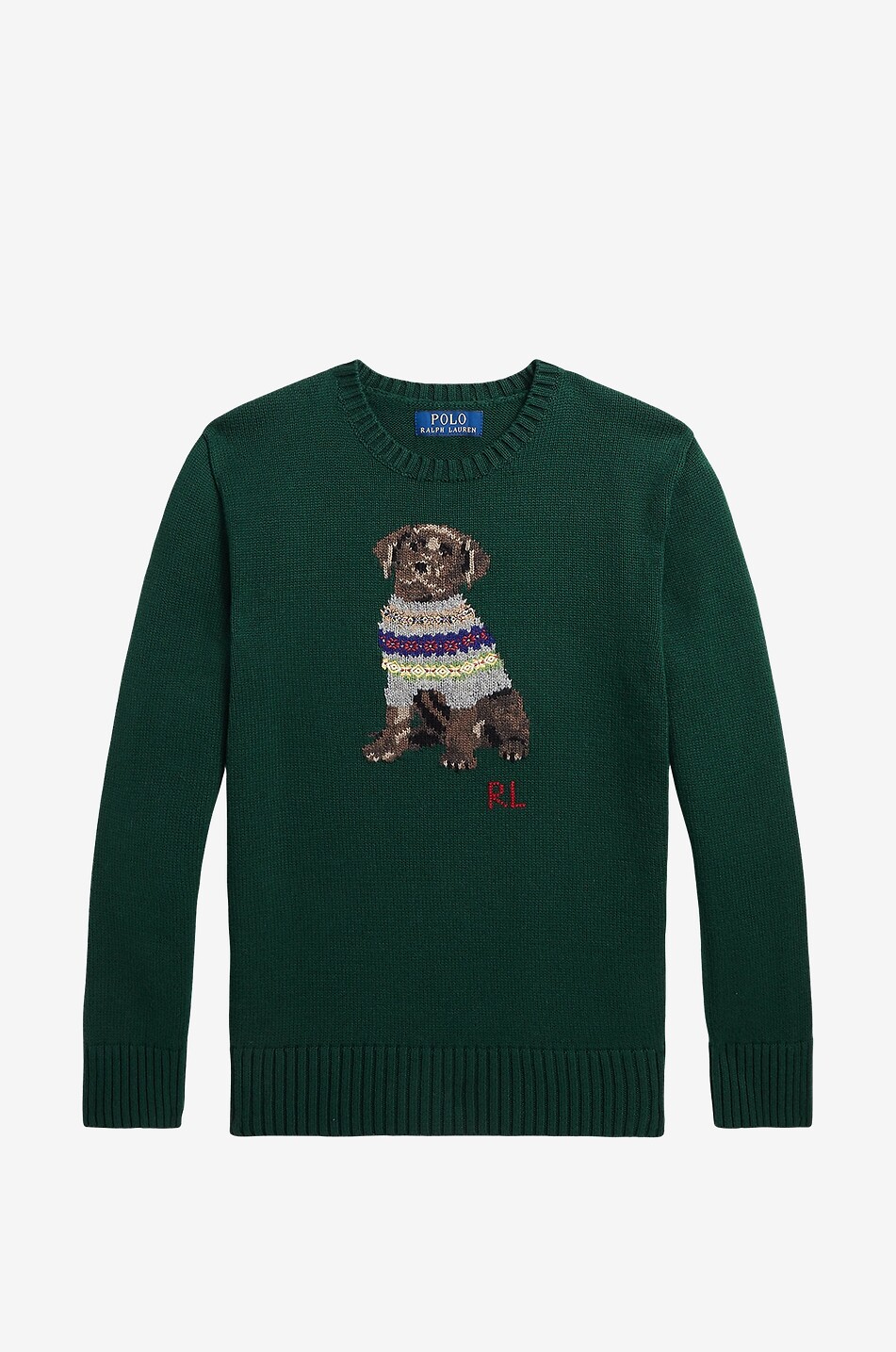 POLO RALPH LAUREN Dog in a Sweater teenager's jacquard jumper Boy DARK GREEN 1