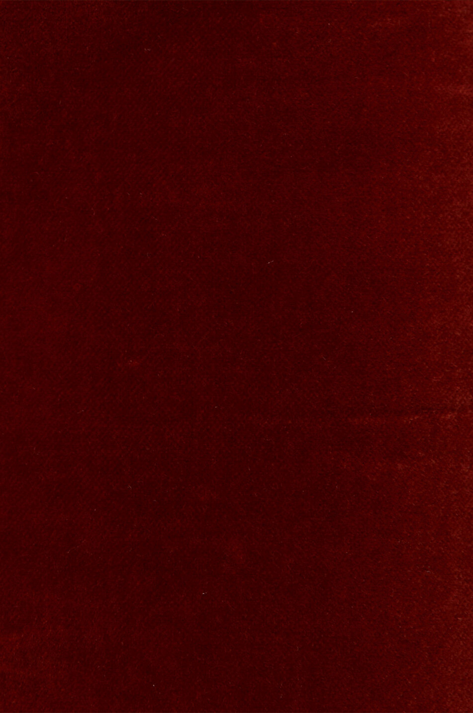 Verkürzte ausgestellte Samthose 24/7