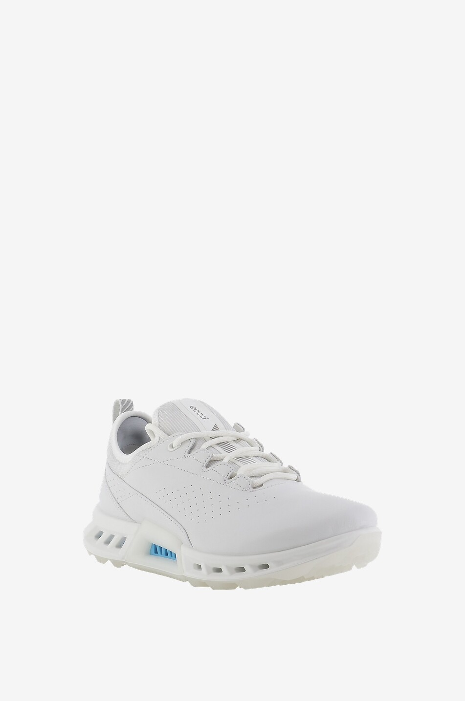 Golfschuhe aus Leder und Gore-Tex W Biom C4