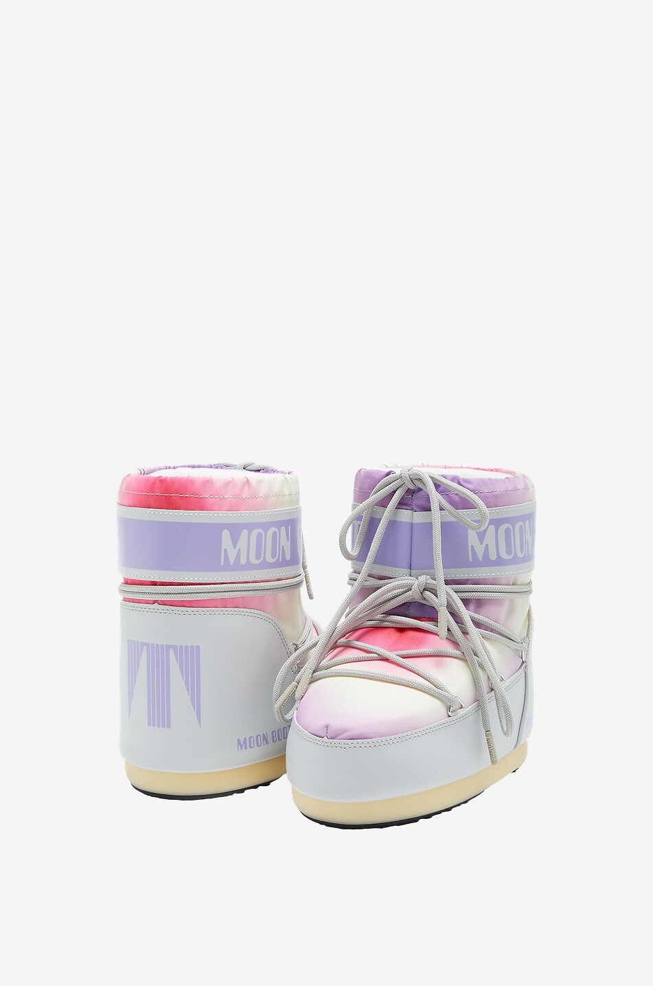 Bottines chaudes Icon Low