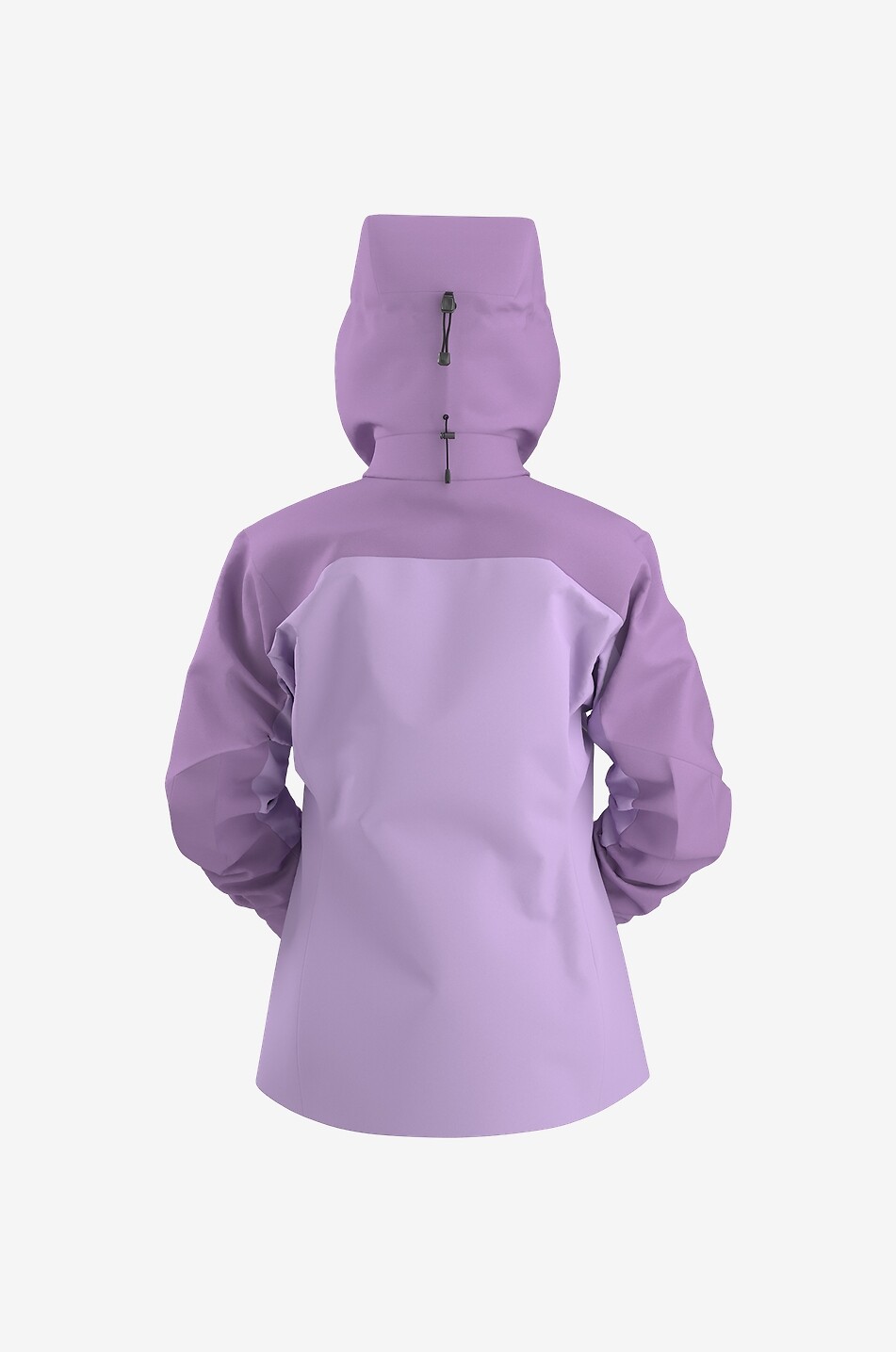 ARC'TERYX Trekking-Jacke aus Gore-Tex Beta AR Damen HELLVIOLETT 4
