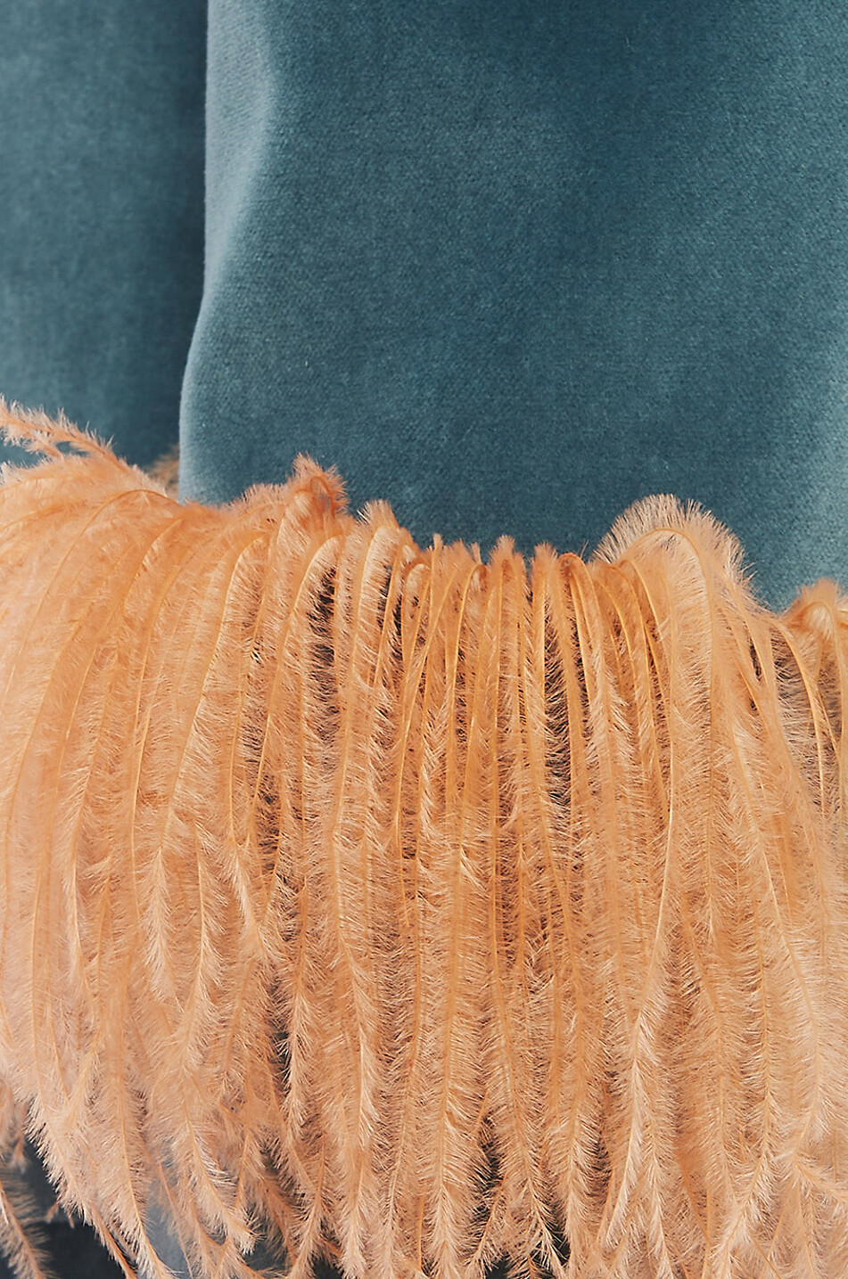 Blazer en velours et plumes Keaton