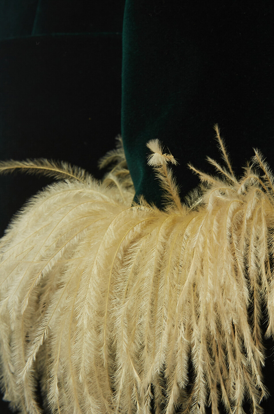 Blazer en velours et plumes Keaton