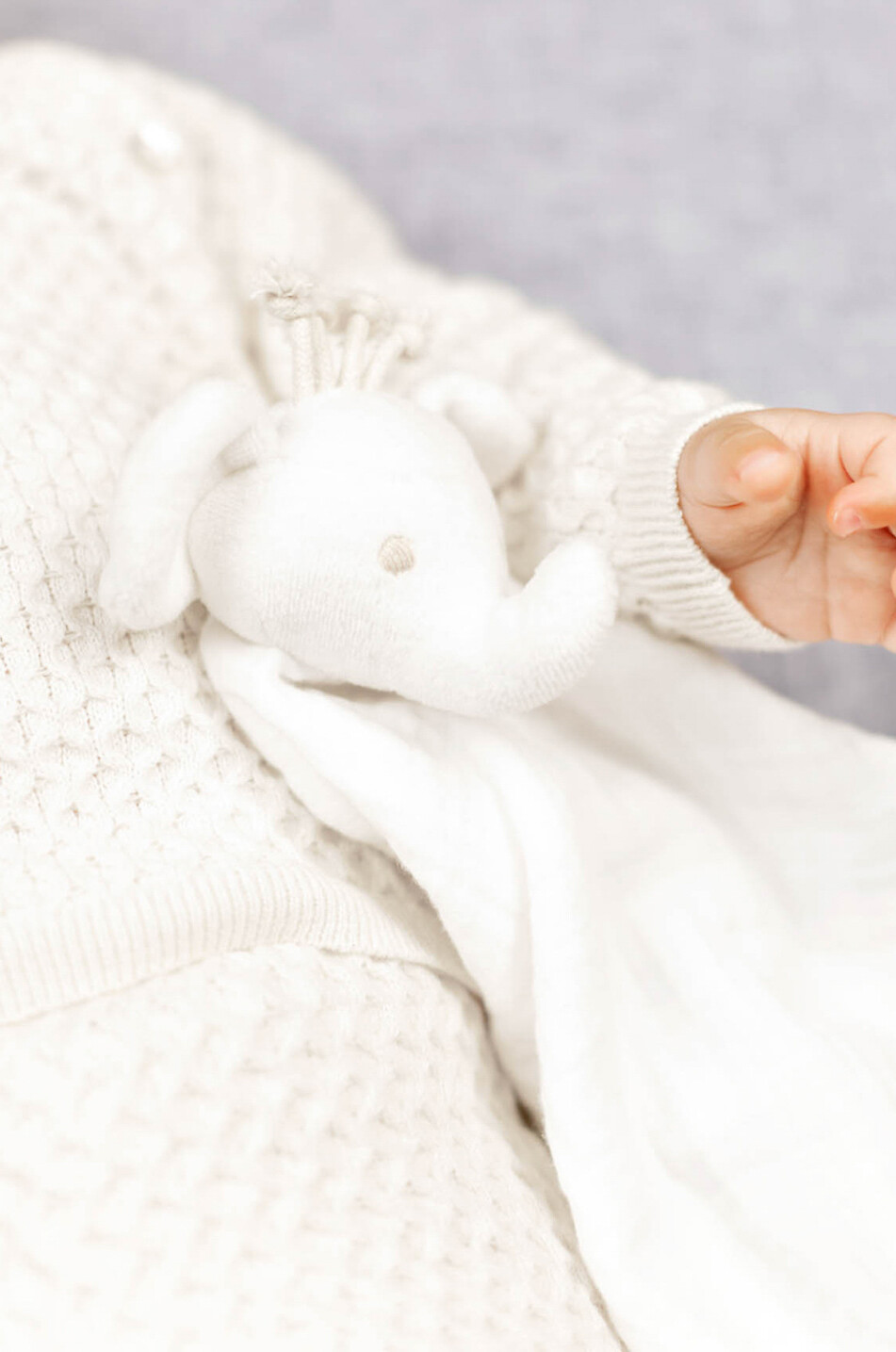 TARTINE ET CHOCOLAT Baby-Schmusetuch aus Bio-Baumwolle Ferdinand L'Éléphant Baby CREMEFARBEN 5
