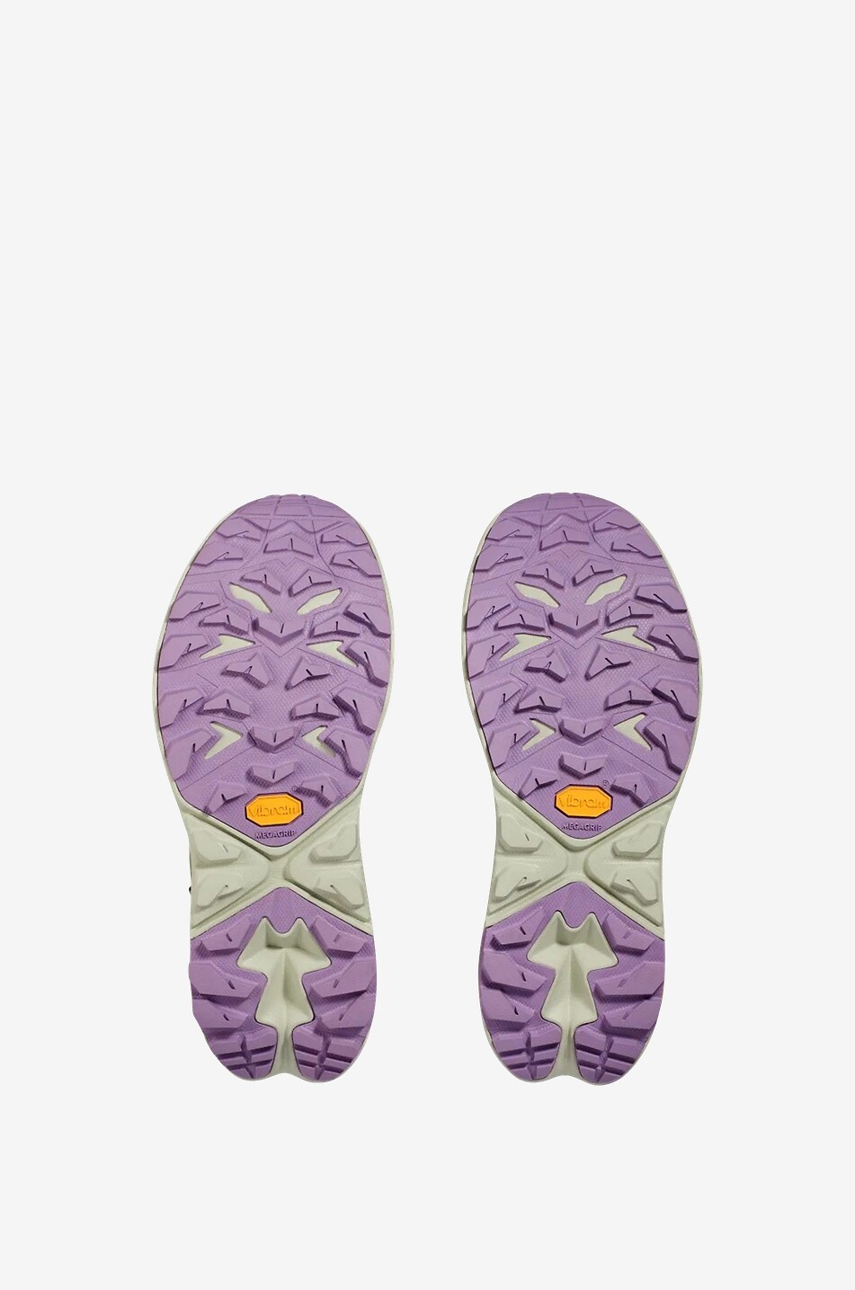 Wanderschuhe aus Gore-Tex Anacapa 2 Low