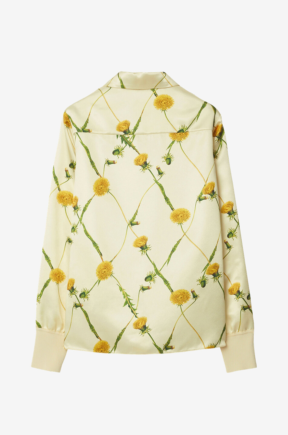 Chemise à manches longues à imprimé pissenlit