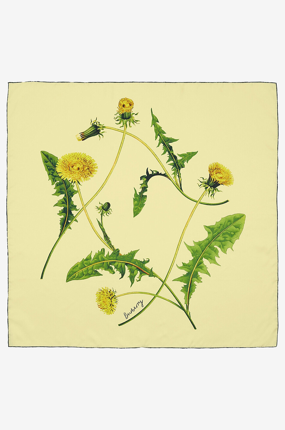 Dandelion silk shawl