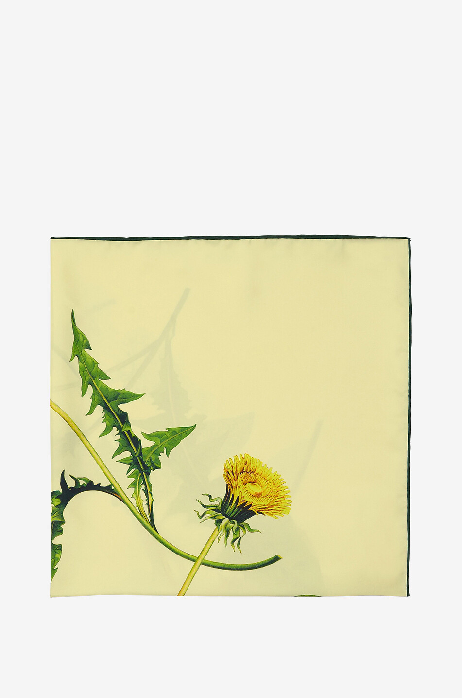 BURBERRY Dandelion silk shawl Women MULTI COLOURED 2
