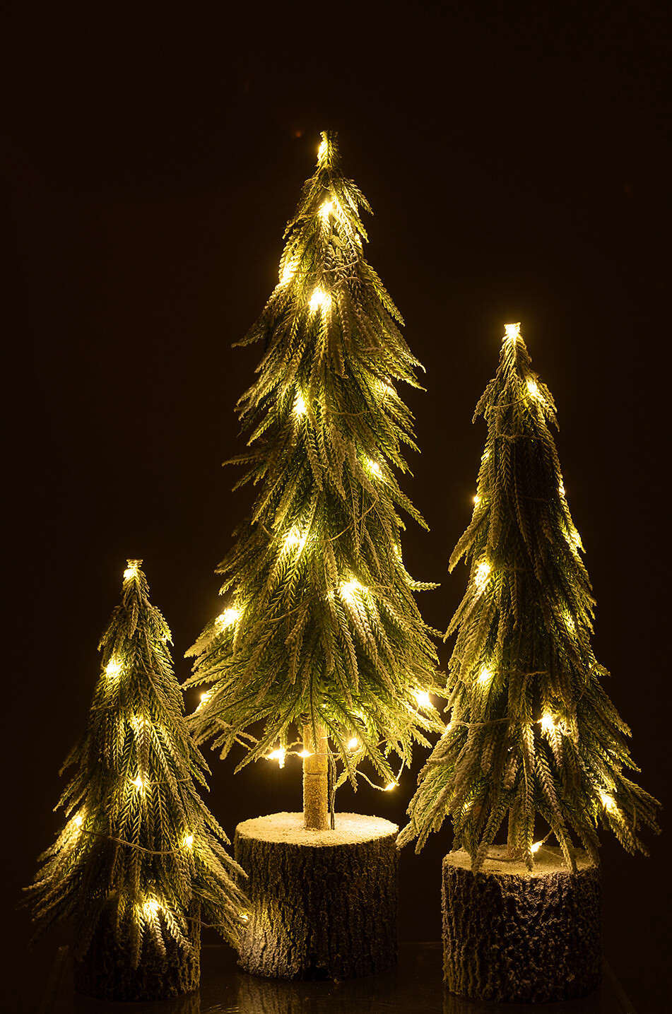 JOLIPA Leuchtender Tannenbaum Haus BUNT 6