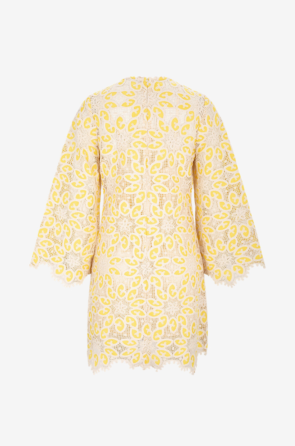 Mini robe en dentelle crochet Ottie