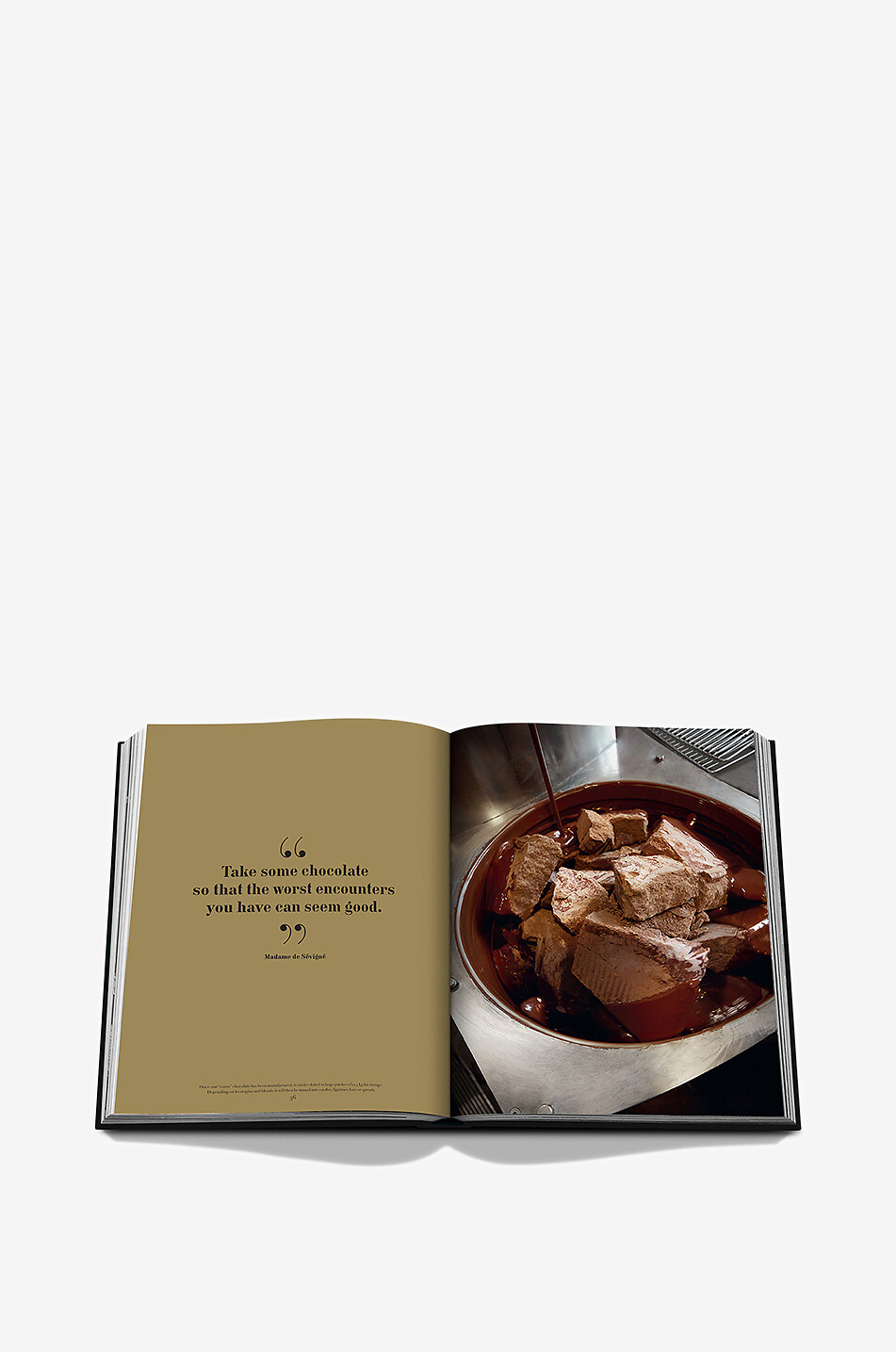 ASSOULINE Kulinarisches Buch The Art of Manufacture: Alain Ducasse Haus BUNT 6