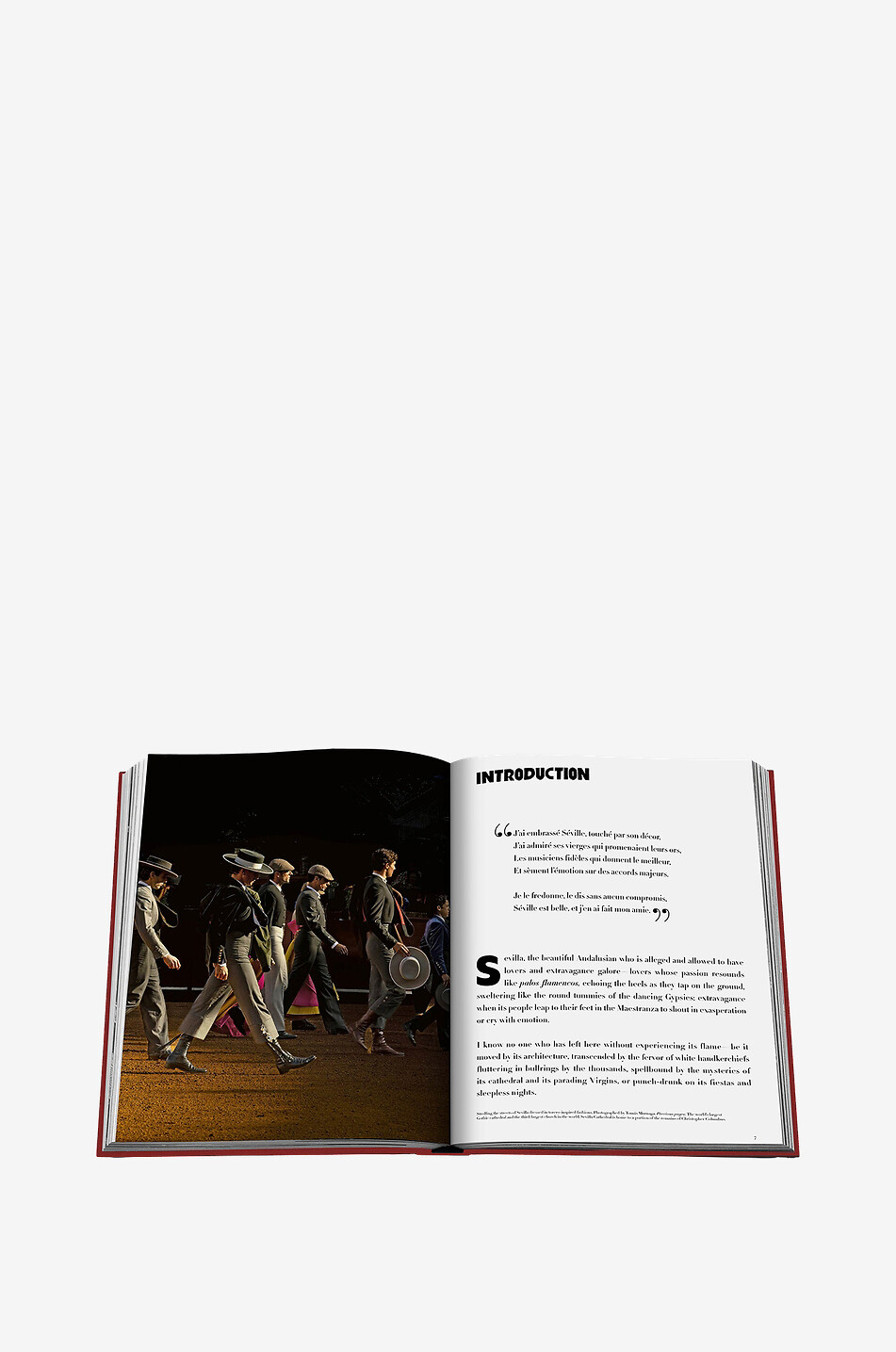 ASSOULINE Livre illustré Sevilla Arte Maison MULTICOLORE 5