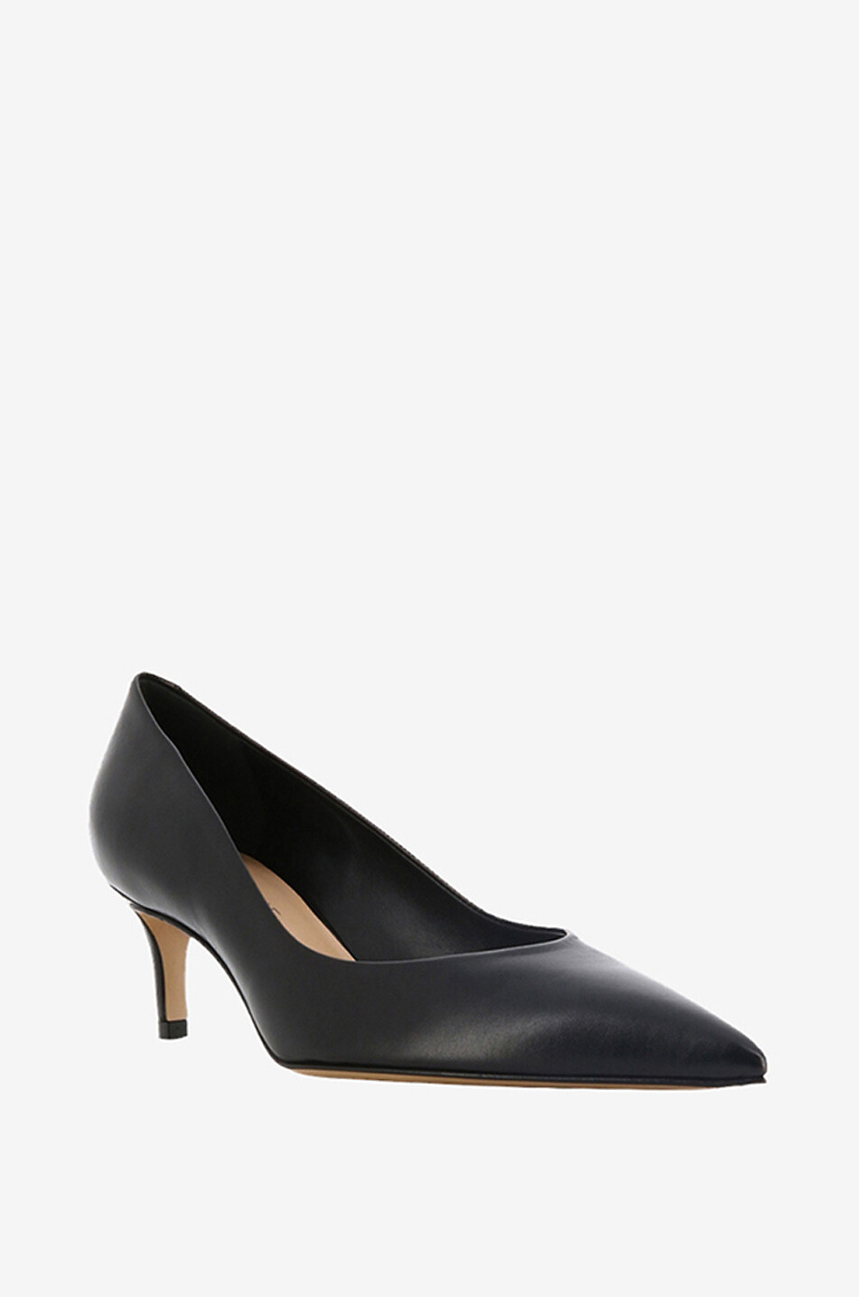 Alexis 60 pointy-toe nappa leather pumps