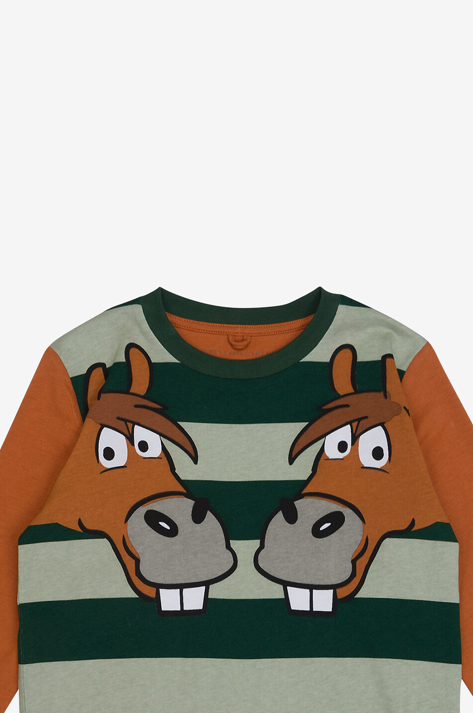 T-shirt rayé à manches longues garçon Horse Buddies