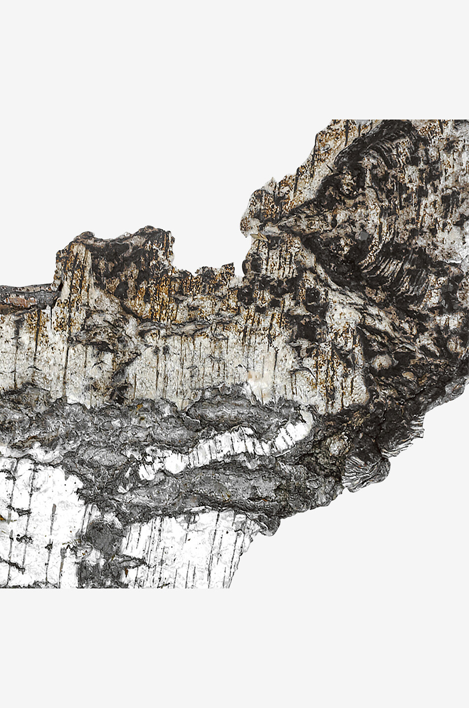 MATIERE PREMIERE Extrait de parfum Falcon Leather - 100 ml Unisexe Incolore 4