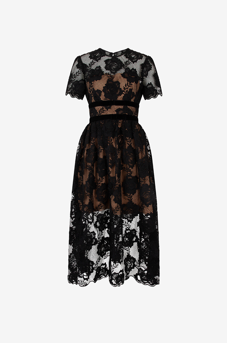 White House Black store Market Floral Velvet Trimmed Layered Dress