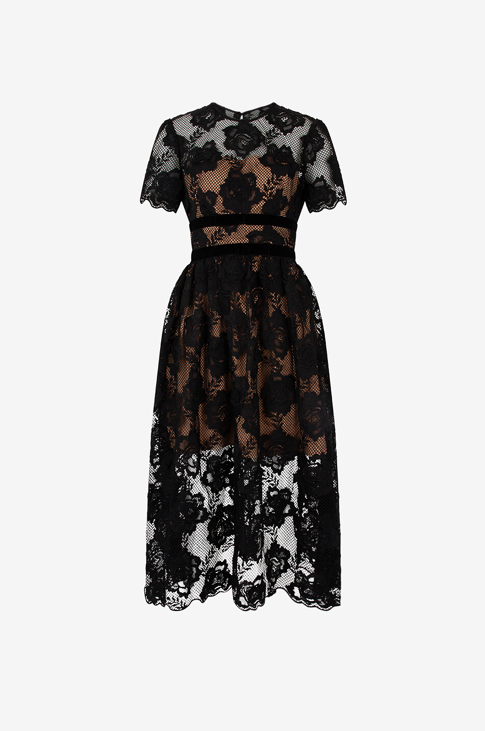 Robe midi évasée en dentelle Lace Velvet Bow