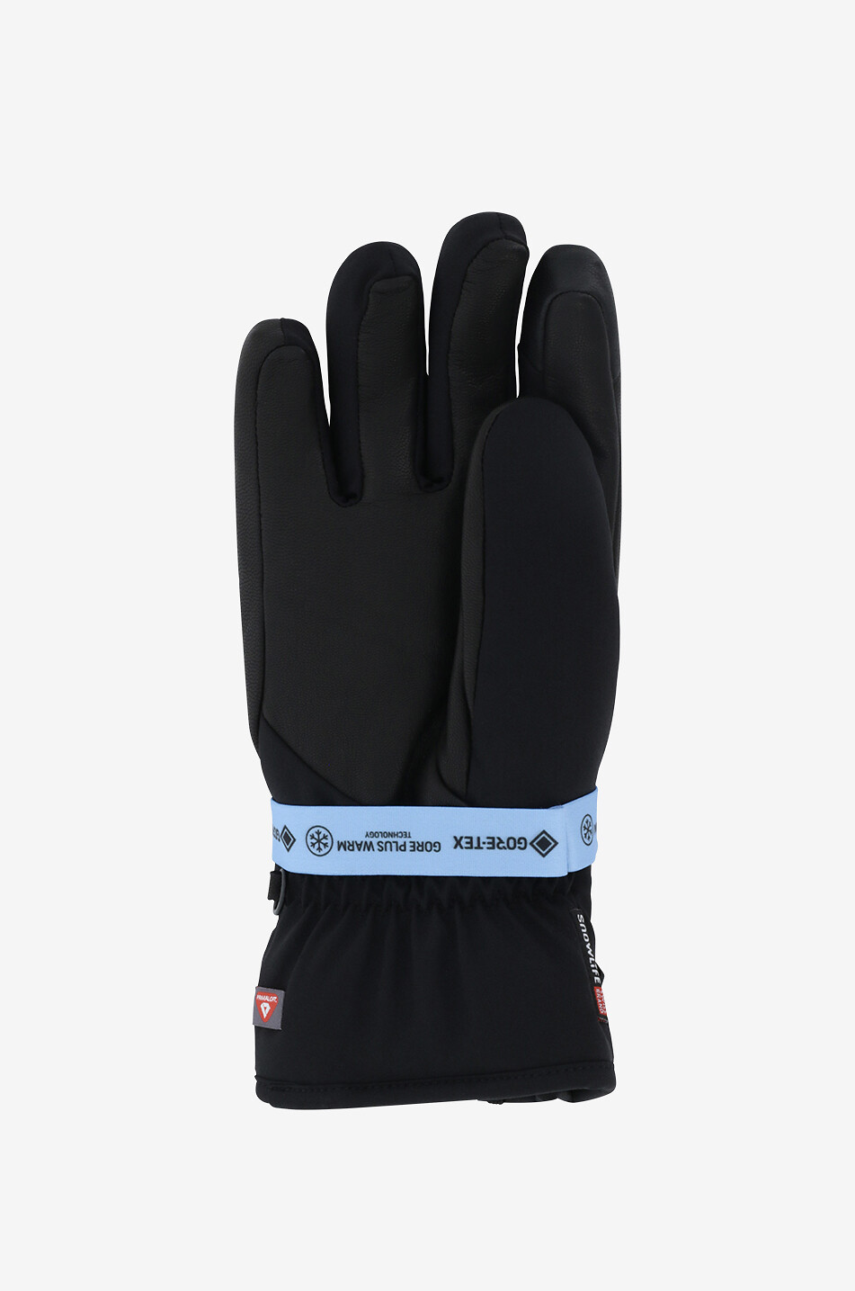 Prime Gore-Tex and leather ski gloves SNOWLIFE BLACK Bongénie
