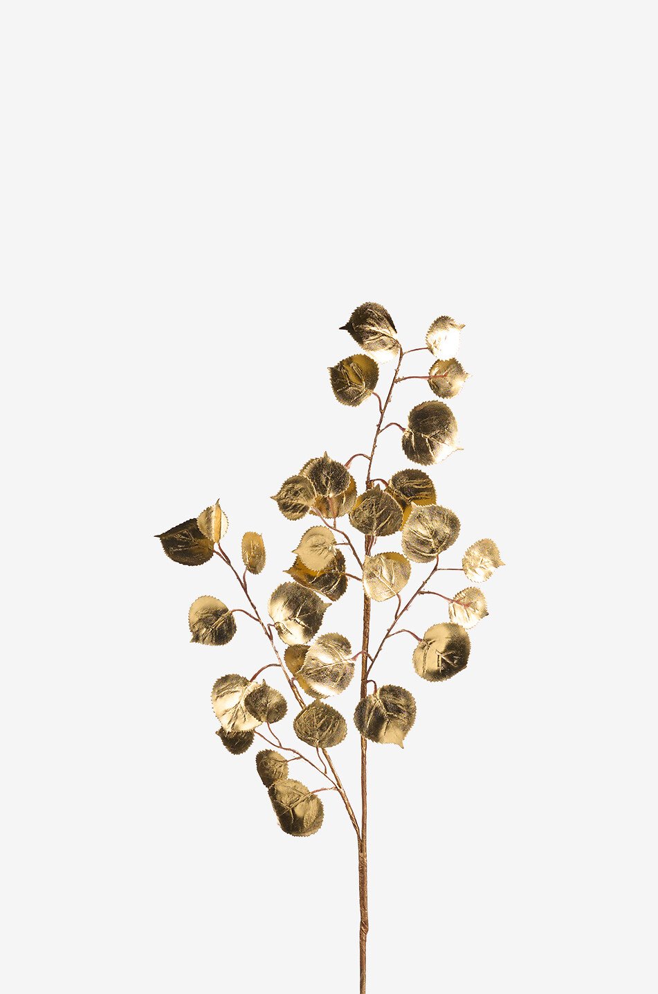 Gold-tone eucalyptus branch