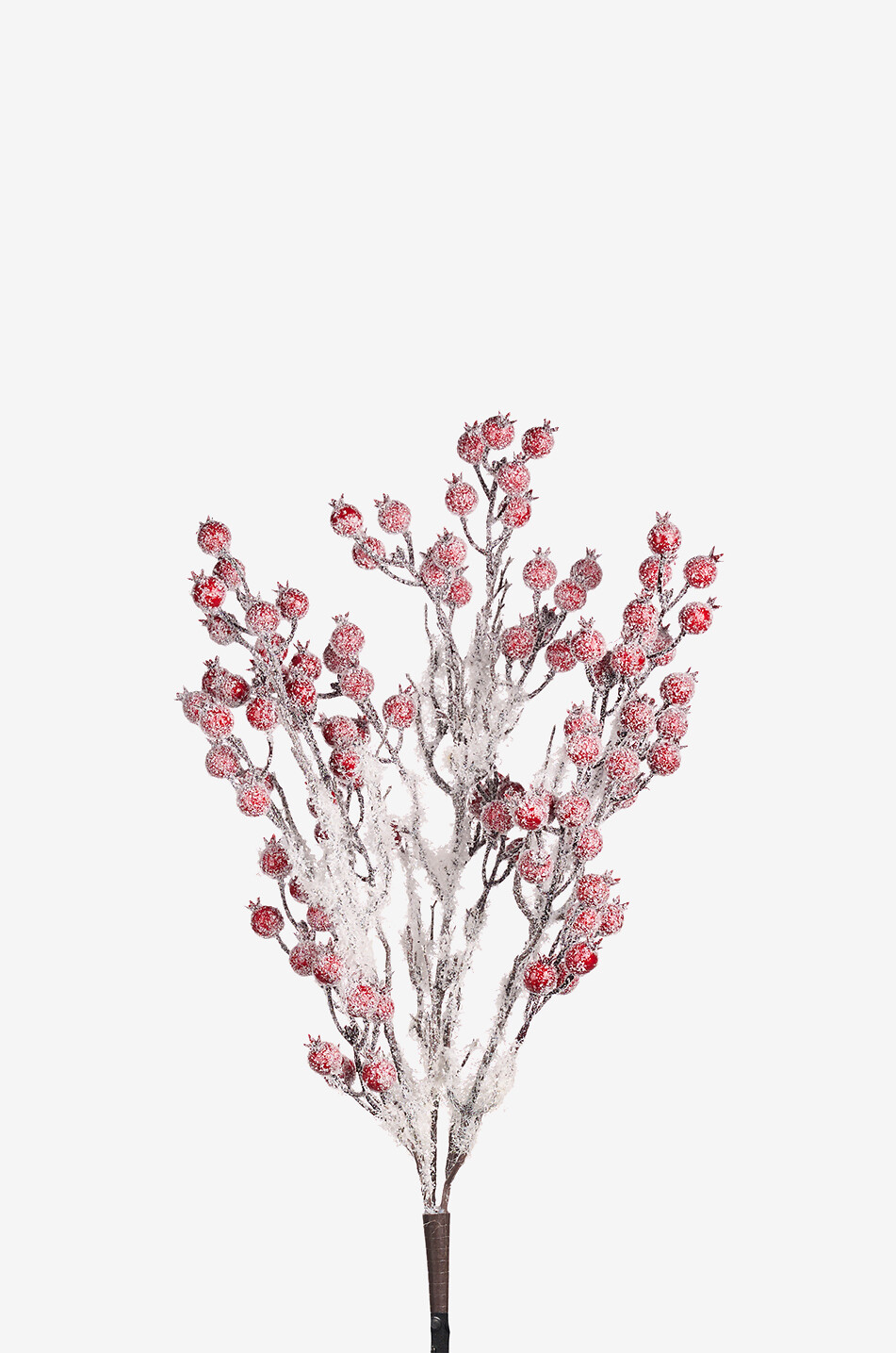 GOODWILL Branche décorative de baies givrées Maison MULTICOLORE 1