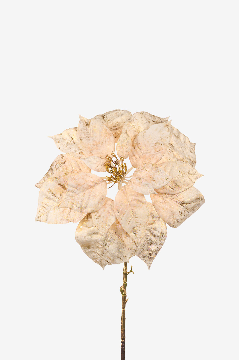 Gold-tone poinsettia