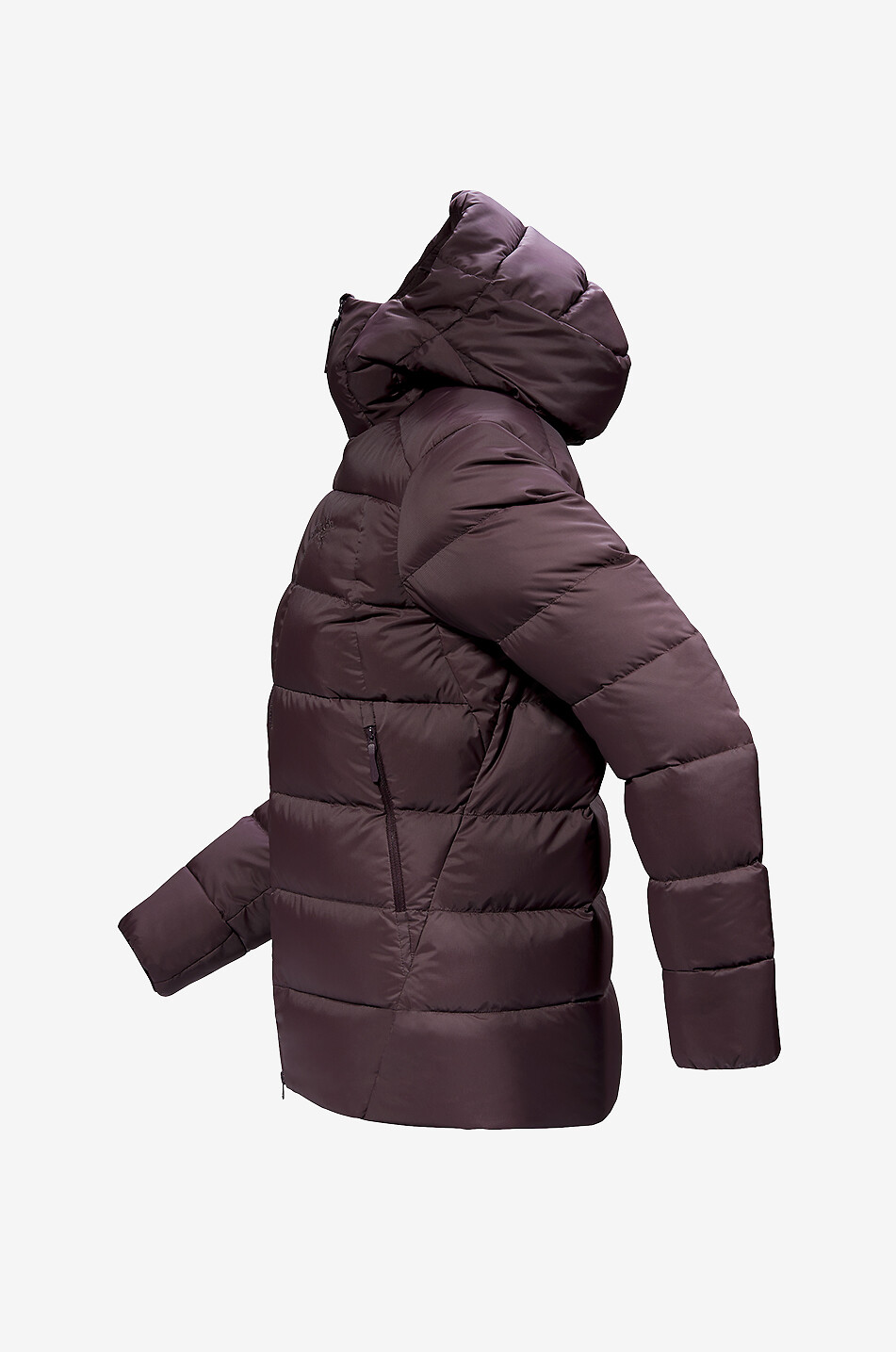 Thorium hooded down jacket