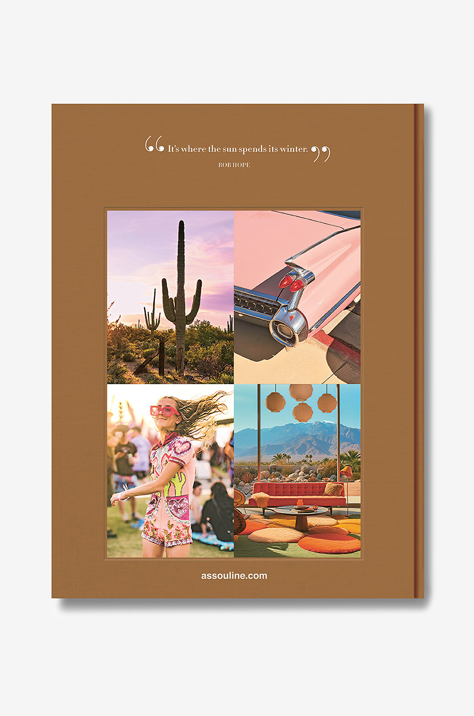ASSOULINE Livre illustré The Classics Collection Palm Springs Maison MARRON 2