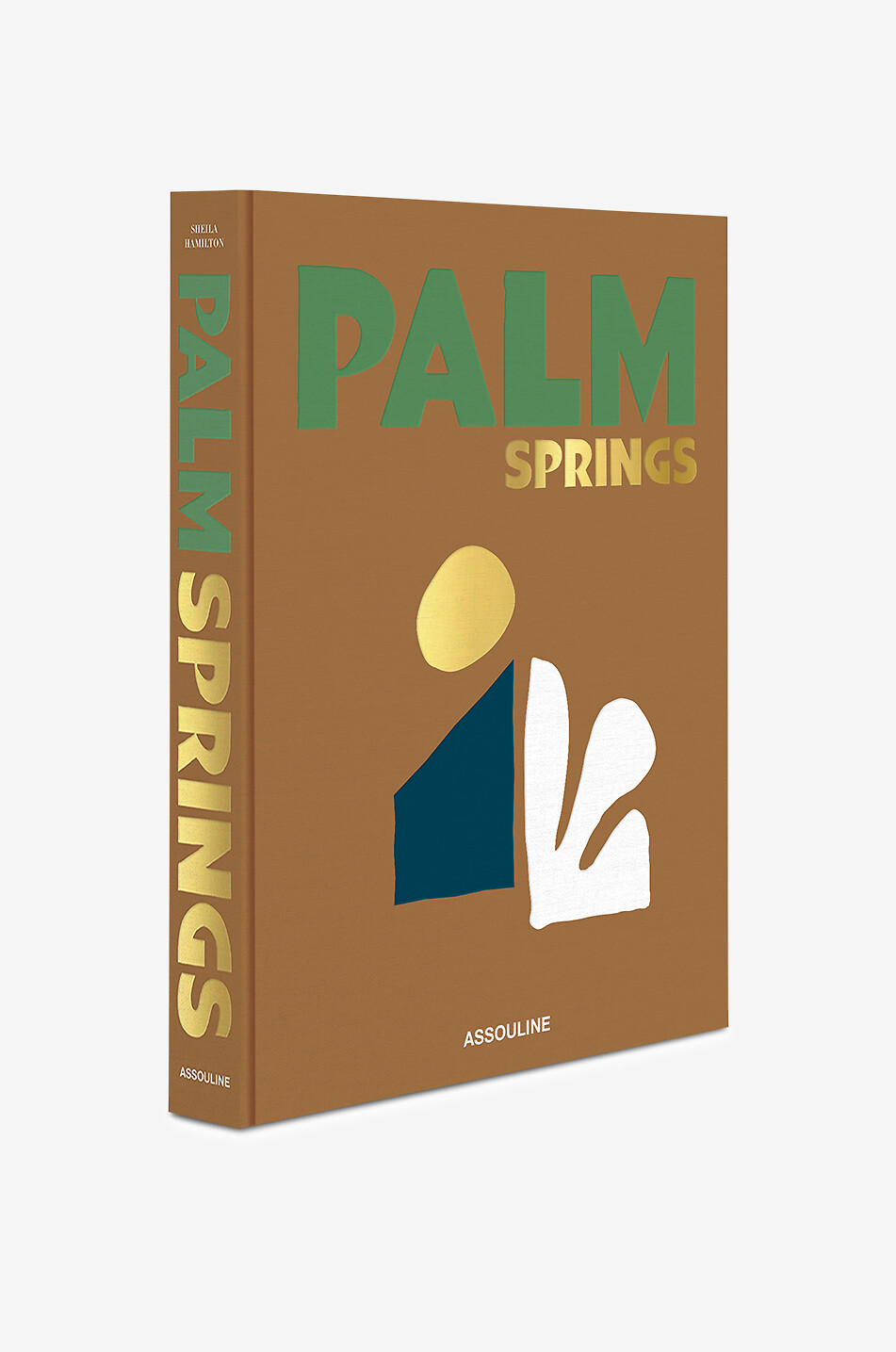 ASSOULINE Livre illustré The Classics Collection Palm Springs Maison MARRON 3