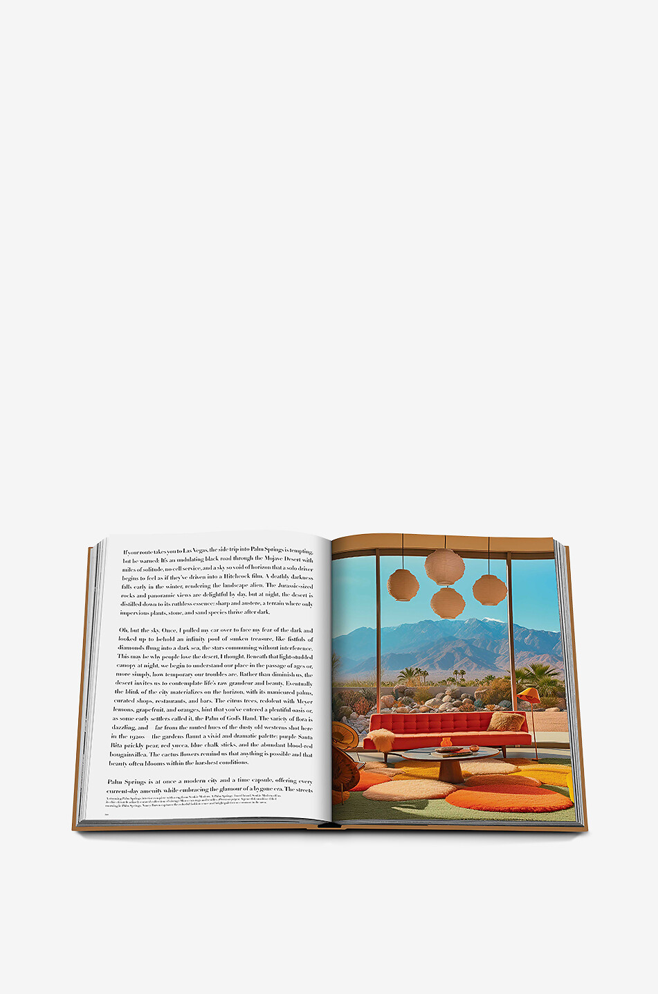 ASSOULINE Livre illustré The Classics Collection Palm Springs Maison MARRON 4